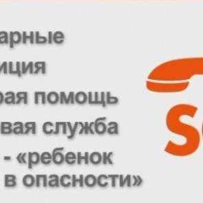 Номера вызова экстренных служб в России стали трехзначными