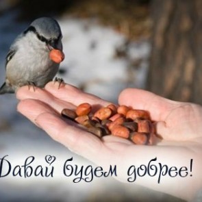 День спонтанного проявления доброты - 17 февраля