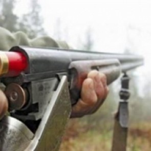 Ущерб от незаконной охоты в Хакасии с начала года достиг 600 тыс. рублей