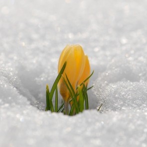 Сегодня 29 марта, день серьёзный...