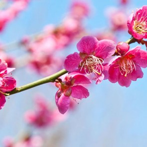 У россиян началась короткая рабочая неделя