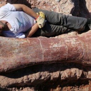 Палеонтологи нашли останки крупнейшего сухопутного животного