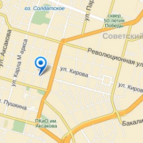 В Уфе женщина-водитель въехала в колонну из 100 детей