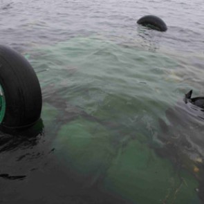Водолазы нашли «черный ящик» упавшего в Мурманской области Ми-8