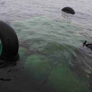 При крушении Ми-8 в Мурманской области погибли повар и официант