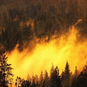 В Хакасии возобновились лесные пожары