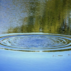 Девочка-подросток утонула в Хакасии, ее сестру спасла собака