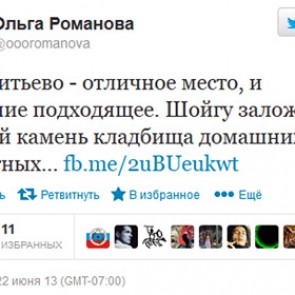 Запись в Twitter обошлась Ольге Романовой в семь тысяч рублей