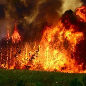 В Красноярском крае горит 10 тысяч гектаров леса