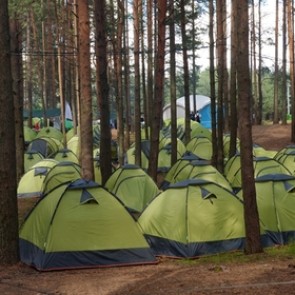 Около 100 участников форума «Селигер-2014» госпитализированы с отравлением