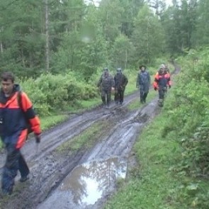 В Хакасии ищут еще одного заблудившегося сборщика дикоросов