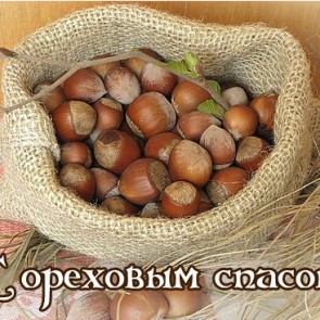 Ореховый (третий) спас - 29 августа