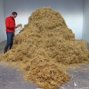 Перформансист двое суток искал иголку в стоге сена27-летний художник из Нью-Йорка Свен Захзальбер в ходе своего перформанса в парижском Palais de Tokyo искал иголку в стоге сена. Как рассказала газете