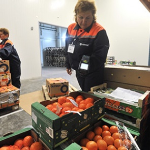 Минсельхоз зафиксировал нехватку ягод и фруктов в России