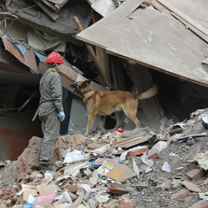 При обрушении дома в Перми погиб человек