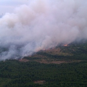 Украинские спасатели сообщили о продолжении пожара в чернобыльской зоне