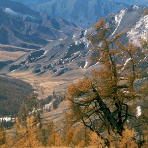 Ущерб от засухи в Туве превысил 32 млн рублей