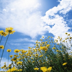 На выходных в Ачинске потеплеет