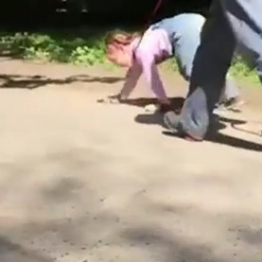 Выгуливавшая девочку на поводке бабушка объяснила произошедшее игрой