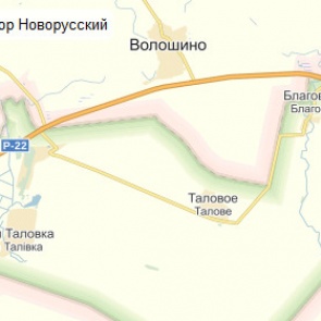 Россиянин в Ростовской области ранен пулей украинского пограничника