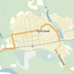 Сбивший насмерть пенсионерку и ребенка водитель сжег машину