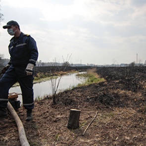Дым от горящих чернобыльских торфяников дошел до Брянской области