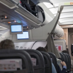 Депутаты предложили освободить от ответственности усмирителей авиадебоширов