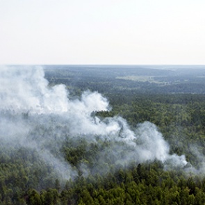 Глава МЧС пообещал ликвидировать пожары в Сибири за два с половиной дня
