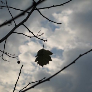 Ачинцев ждёт холодная неделя