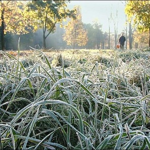 В четверг в Ачинск придут заморозки и снег