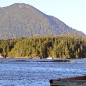 Круизное судно с 27 пассажирами затонуло у побережья Канады