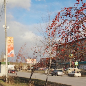 В Ачинске на проспекте Лапенкова появилась праздничная иллюминация