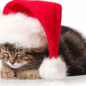 С четверга в Ачинске резко потеплеет