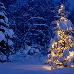 Нас ждут морозные каникулы