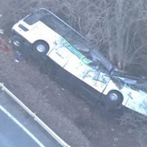 В Японии автобус с туристами упал в кювет