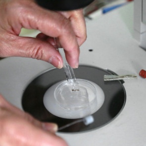 В США выявлен первый случай передачи вируса Зика от человека к человеку