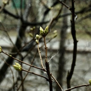 Нас ждут дождливыеи прохладные выходные