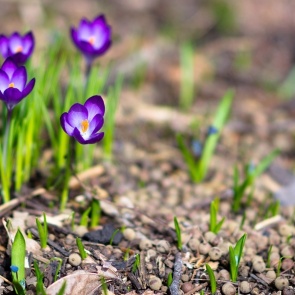 На выходных в Ачинск придут дожди и прохлада
