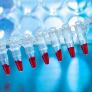 Красноярских регбистов оправдали в деле об употреблении допинга-мельдония