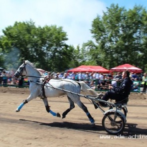 Конноспортивные соревнования пройдут в Ачинске в дни празднования Дня города