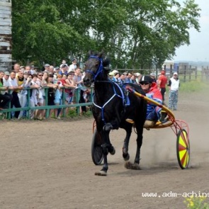 Конноспортивные соревнования завершились победой коннозаводчиков из Ачинска и Ачинского района