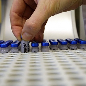 Федерация тяжелой атлетики допустила дисквалификацию российских спортсменов