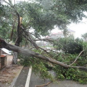 В результате урагана в Китае погибли 99 человек