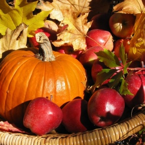 18 сентября 2016 года сразу на 8 городских площадках одновременно начнется основной этап городского конкурса «Дары осени»