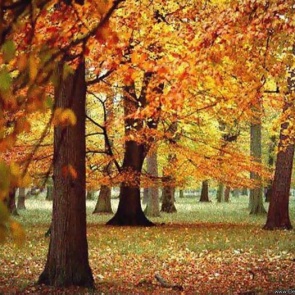 Грядущие выходные порадуют ачинцев теплом