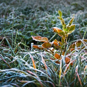 В Ачинск идет похолодание