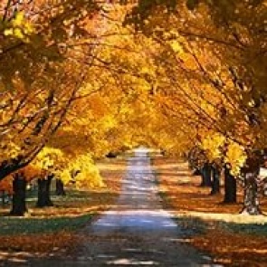 Синоптики пообещали похолодание и снег