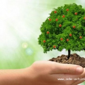 Ачинцев приглашают принять участие в экологической акции «Зеленая 1000»