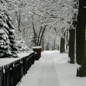 В Ачинске потепление продержится до конца недели