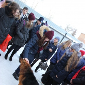 Школьники Ачинска познакомились с работой инспекторов – кинологов